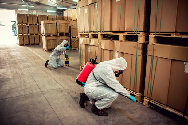 Best Mosquito Control Services  in Honsville, GA