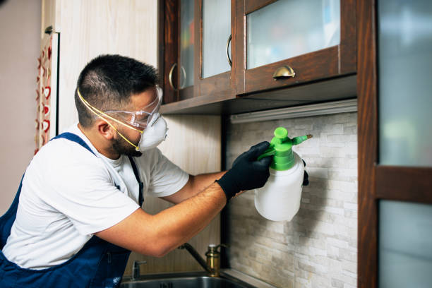 Best Pest Control for Businesses  in Honsville, GA