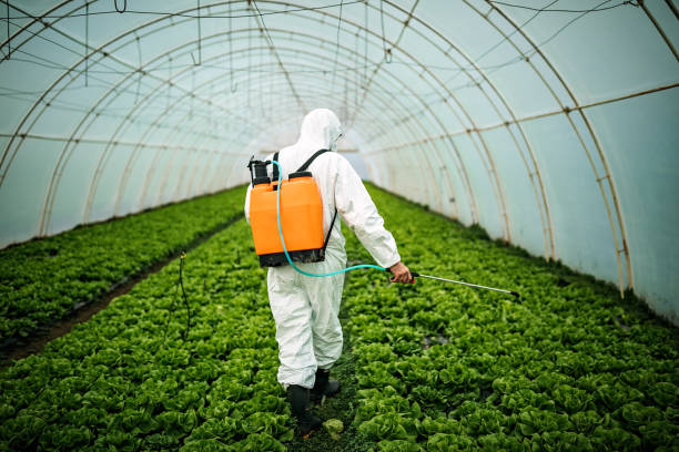 Best Local Pest Control Services  in Honsville, GA