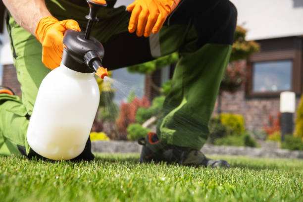 Best Pest Prevention Services  in Honsville, GA