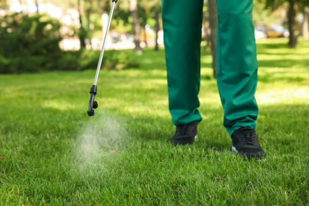 Best Exterminator Services  in Honsville, GA