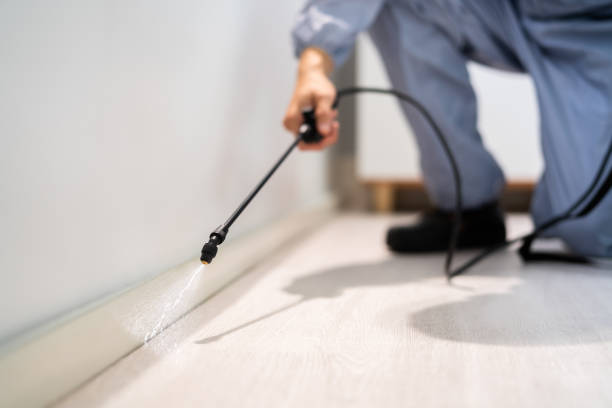 Best Residential Pest Control  in Honsville, GA