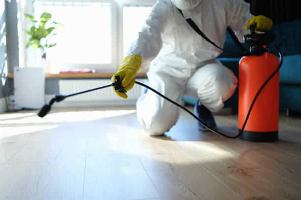 Best Wildlife Control Services  in Honsville, GA