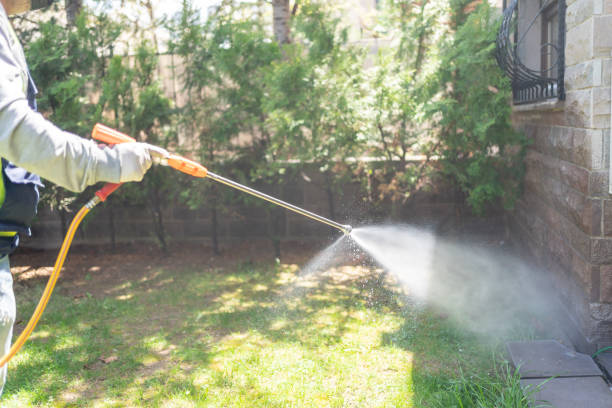Best Affordable Pest Control Services  in Honsville, GA