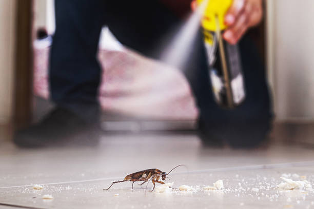 Best Pest Control Treatment  in Honsville, GA