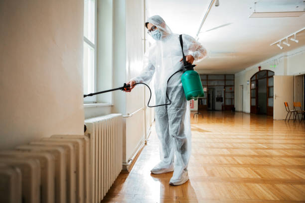 Best Termite Control Services  in Honsville, GA