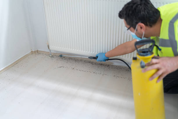 Best Cockroach Control Services  in Honsville, GA