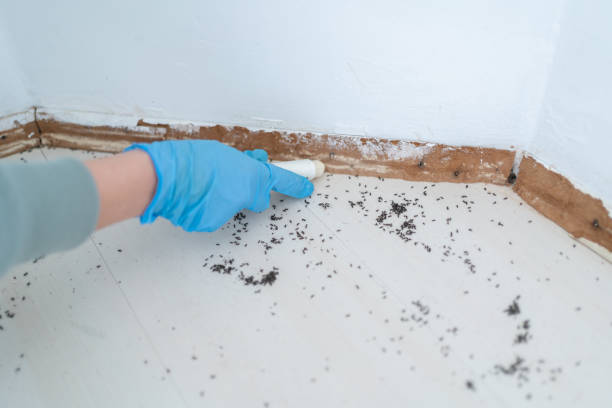 Best Commercial Pest Control Services  in Honsville, GA