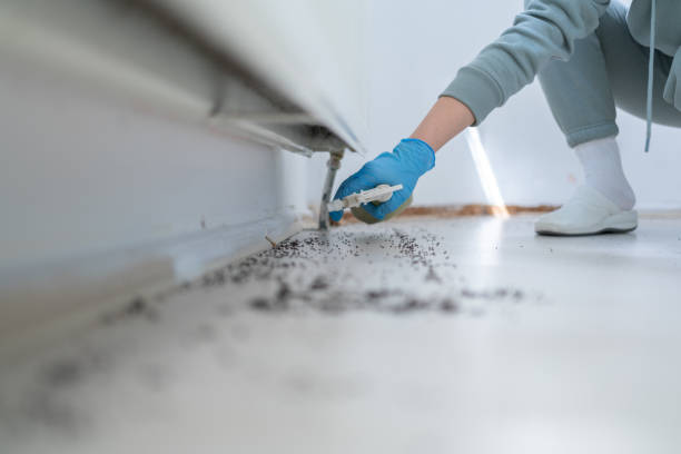 Pest Prevention Services in Hogansville, GA