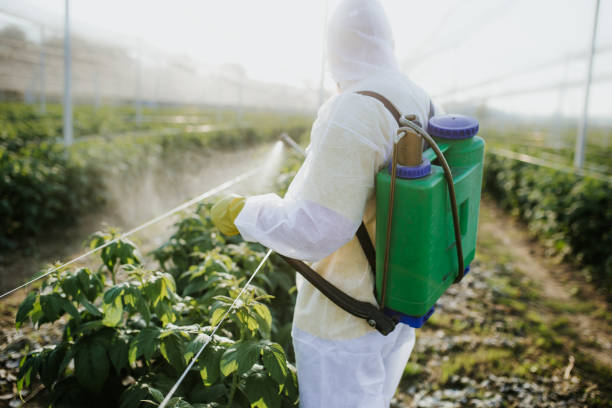 Best Affordable Pest Control Services  in Honsville, GA
